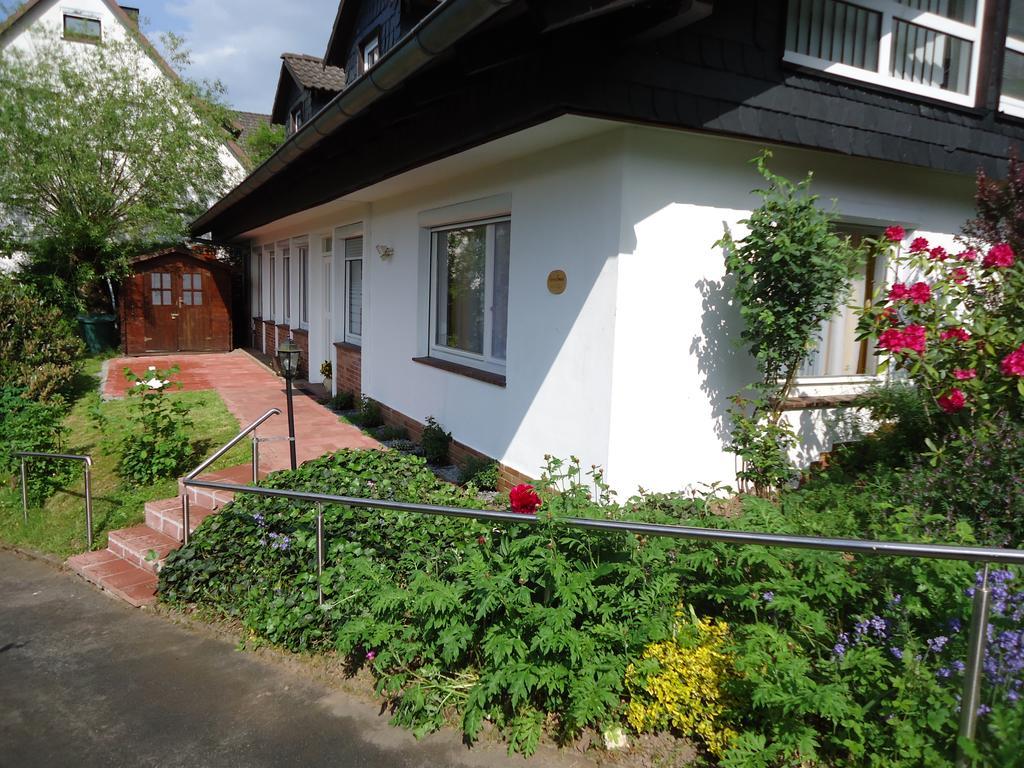 フランケンベルク Haus Am Burgbergヴィラ エクステリア 写真