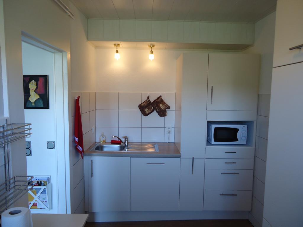 フランケンベルク Haus Am Burgbergヴィラ エクステリア 写真
